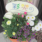 株式会社彩光建設
