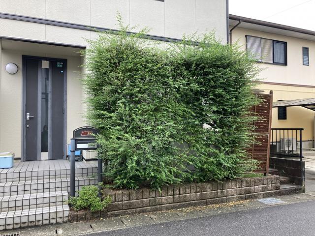 施工前