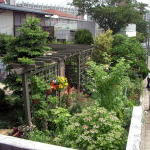 有限会社Ki・Ko・Ri Garden Design