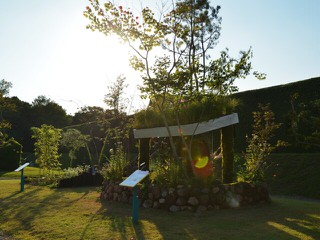 夕日に希望を・・。雑木の庭