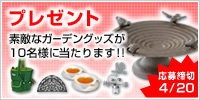 プレゼント企画