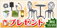 �ץ쥼��ȡ���Ũ������餷����礷�ޤ���