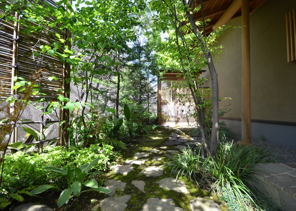 和庭の雑木と苔と山の中にある上質な癒しの空間