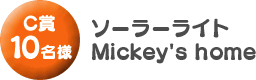 C賞「ソーラーライト Mickey' home」