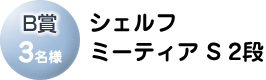 B賞「シェルフミーティア S 2段」
