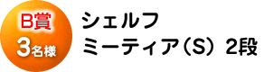 B賞「シェルフミーティア S 2段」