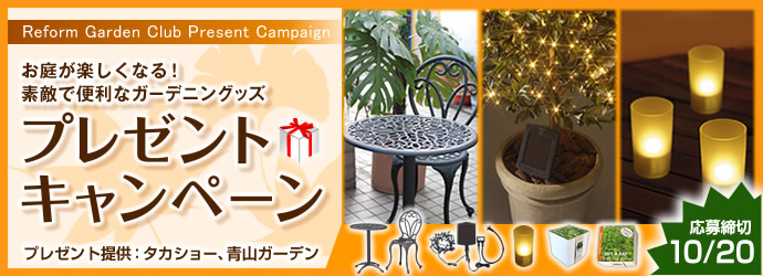 ��ե����६���ǥ󥯥�� �������ڤ����ʤ롪�Ȥä���Ũ�������ʥ����ǥ󥰥å��ץ쥼��ȥ����ڡ��� -�ץ쥼�����-�������硼���Ļ������ǥ�