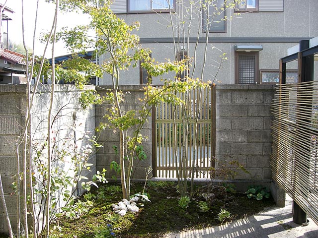 雑木の庭 武蔵野の施工例写真