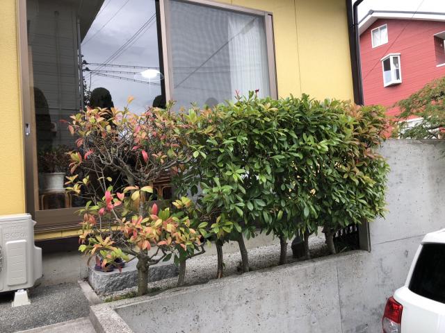 施工前