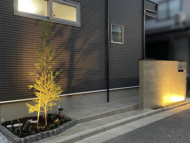 夜