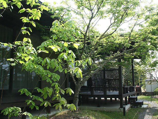 雑木の庭 武蔵野 施工例写真拡大