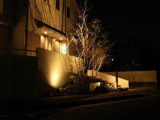ミサワホーム外構工事｜ライトアップで映える雑木の庭
