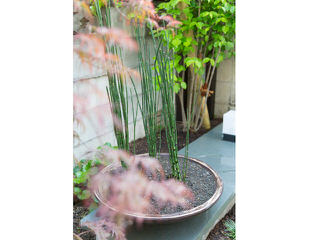 水鉢とトクサで庭を演出