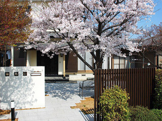 桜の木をメインに御影石をふんだんに使用した和モダンな外構