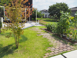 家庭菜園とレンガの小路　緑あふれるお庭