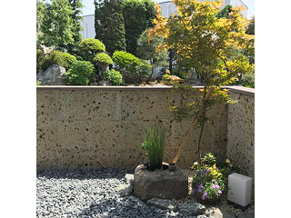 日本庭園　和の空間