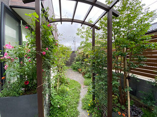 バラのパーゴラ。フェンス一面にバラ咲くガーデニングを楽しむ庭 新潟市Ｈ様邸