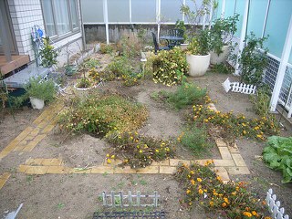 新潟市のお庭　リフォームで手入れのしやすいお庭に変身