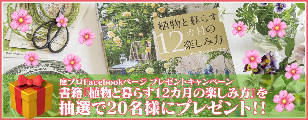 庭ブロFacebookページ限定特別企画 プレゼントキャンペーン